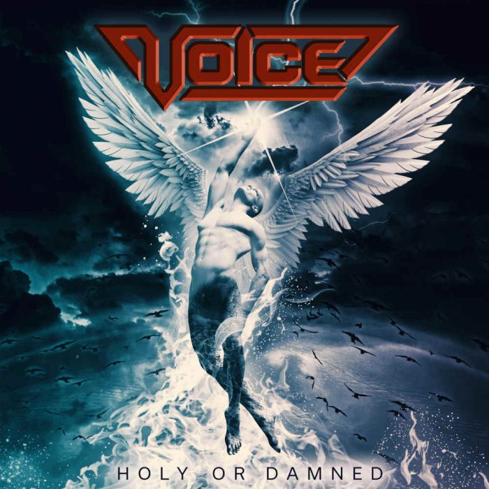 Voice - Album 2024