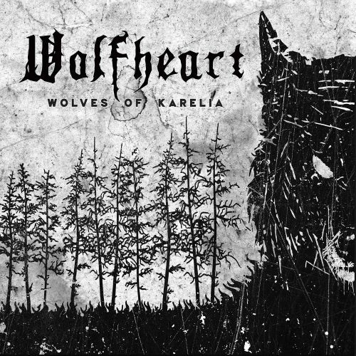 Wolfheart - Hail of Steel (clip)